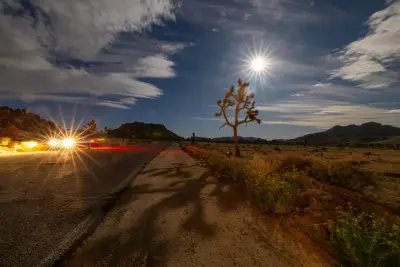 Wildfire threatens Joshua trees in area considered a 'last refuge' for the species